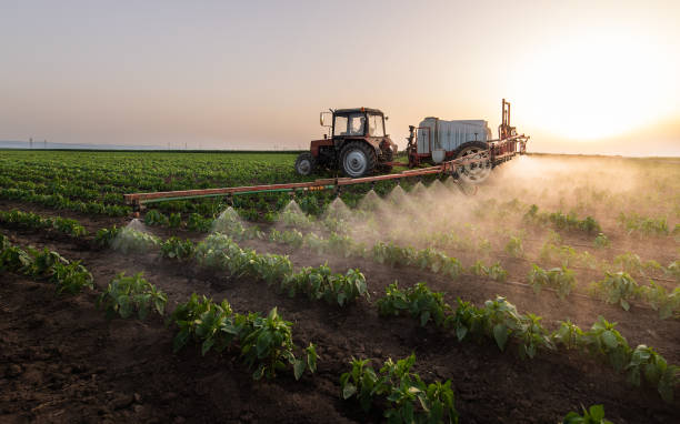 Pest Control for Restaurants in Rushville, NE