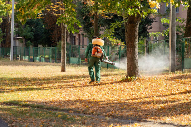 Best Mosquito Control Services  in Rushville, NE