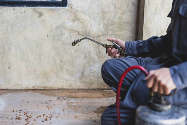 Reliable Rushville, NE Pest Control Solutions
