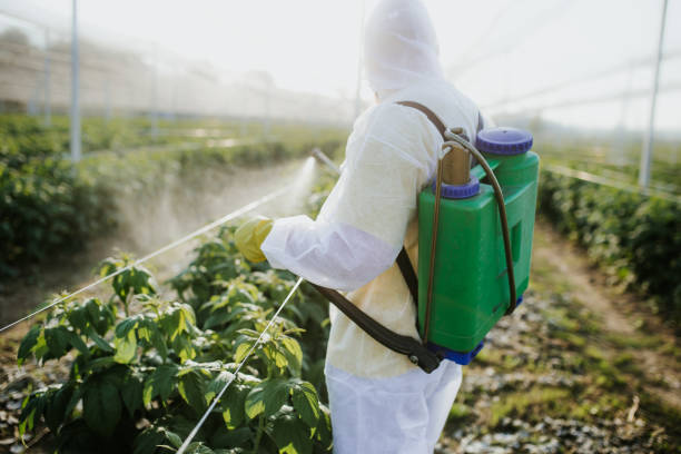 Best Best Pest Control Companies  in Rushville, NE